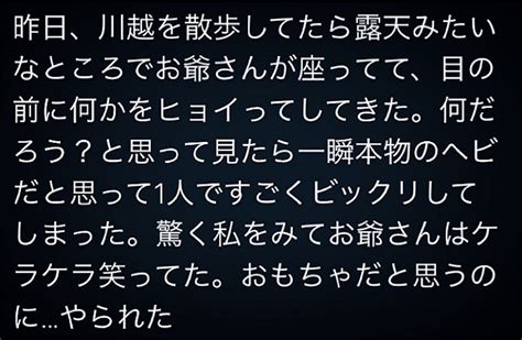 へそのごま 正体：宇宙の謎と日常の不思議