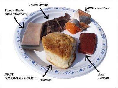 イヌイット 食事：北極圏の食文化とその影響