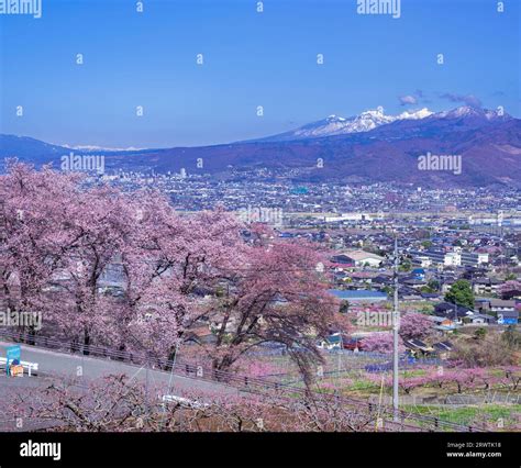 山梨県甲斐市1時間ごとの天気 - 天気予報が教える、意外な日常のヒント